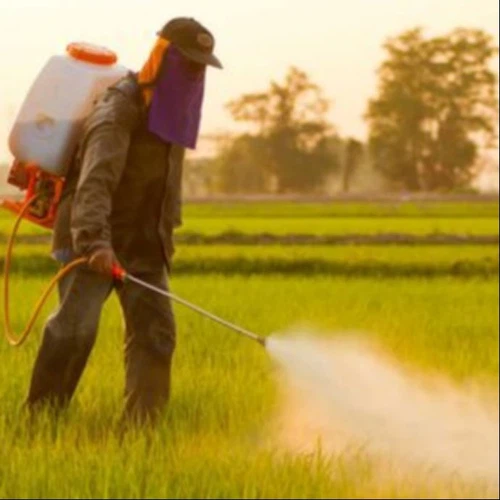 product-690-690 product-690-690